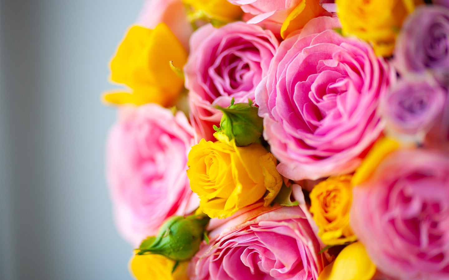 The Best Easter Flowers to Brighten Your Spring Celebration Send Blooms