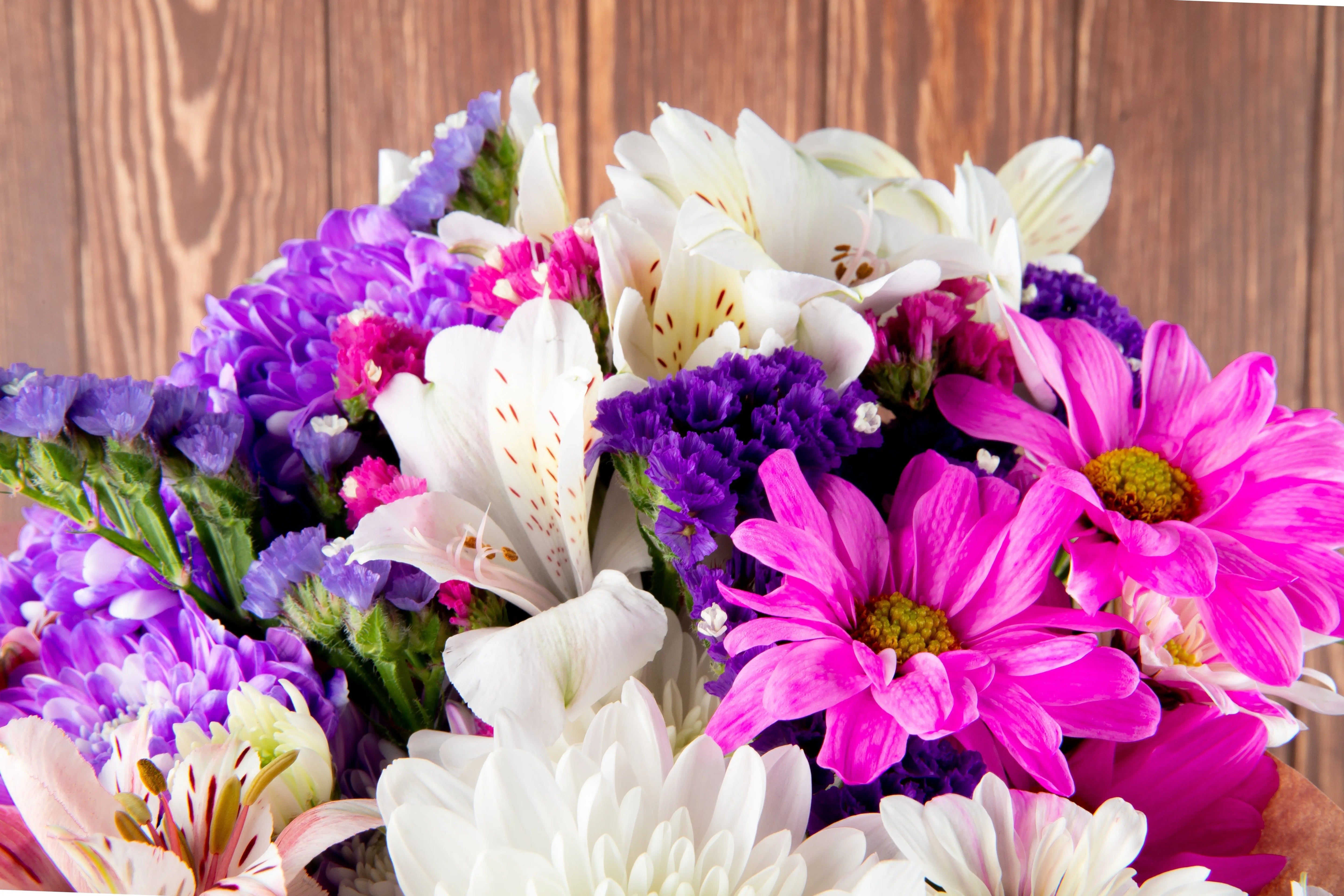 Mother’s Day Flowers in Canada: Thoughtful Blooms That Say More Send Blooms