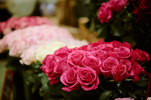 Anniversary-Flowers Send Blooms