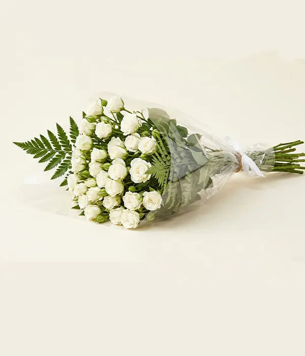 100 Blooms of White Spray Roses Send Blooms