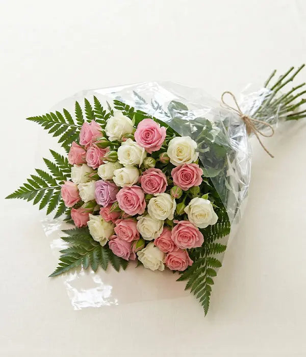 100 Blooms of White & Pink Spray Roses Send Blooms
