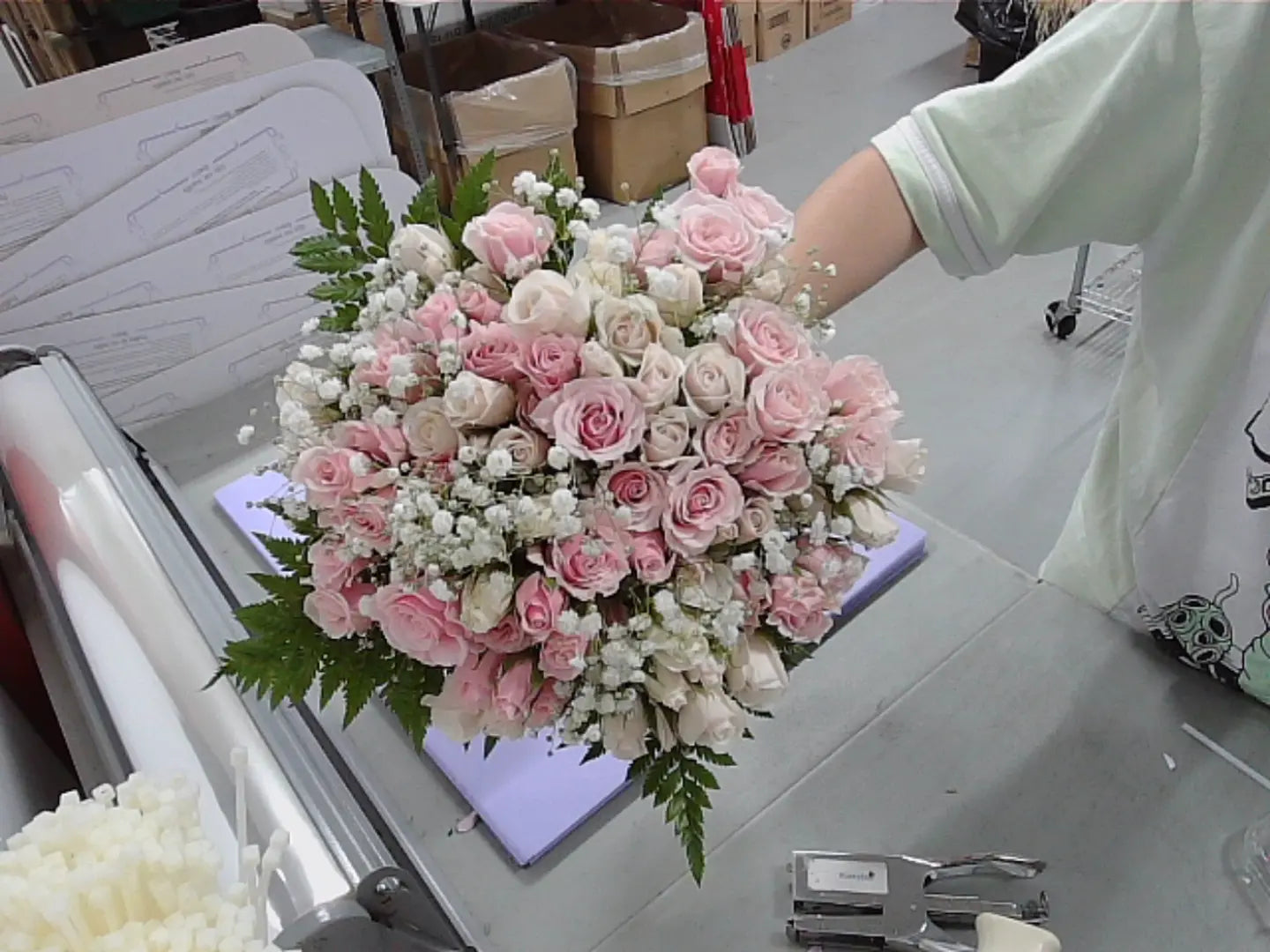 100 Blooms of White & Pink Spray Roses Send Blooms