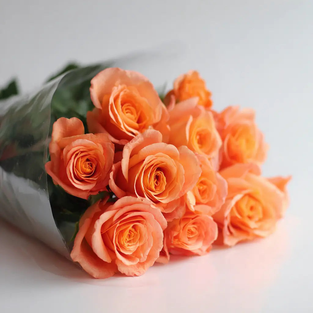12 Orange Roses Bouquet Send Blooms