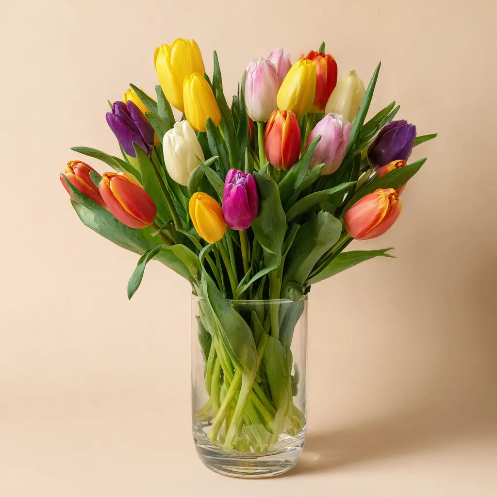 15 Tulip Bouquet & Gift | Vase, Card & Chocolate Send Blooms