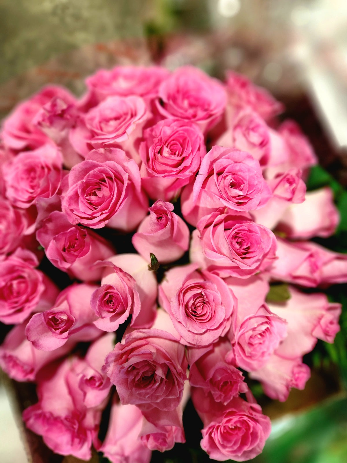24 Pink Roses