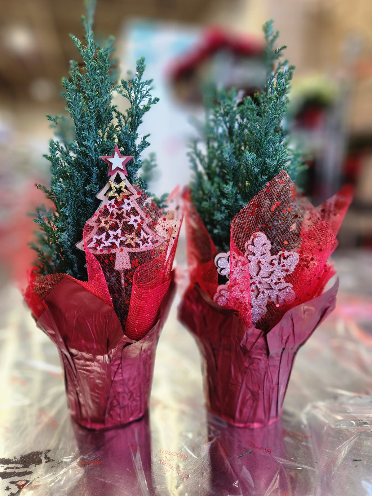 Mini Christmas Tree Gift I