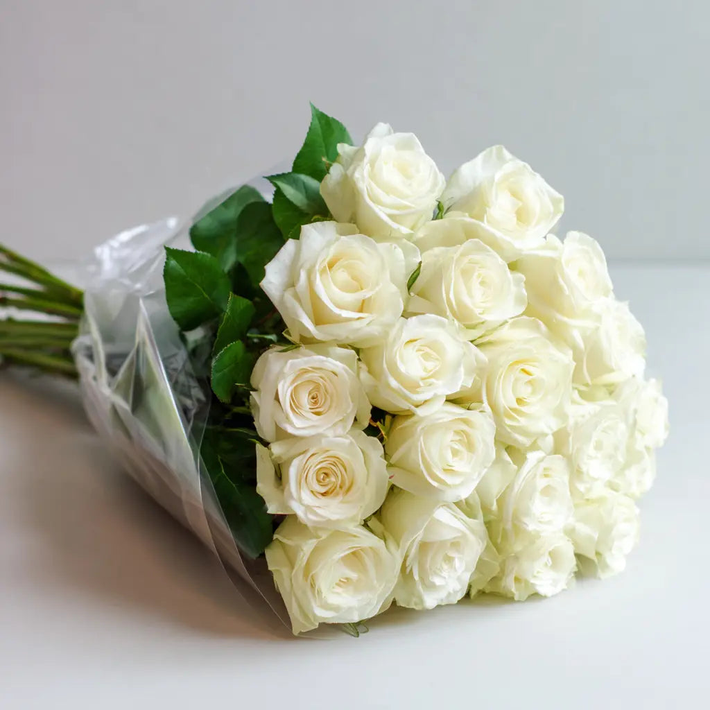 24 White Roses Bouquet Send Blooms