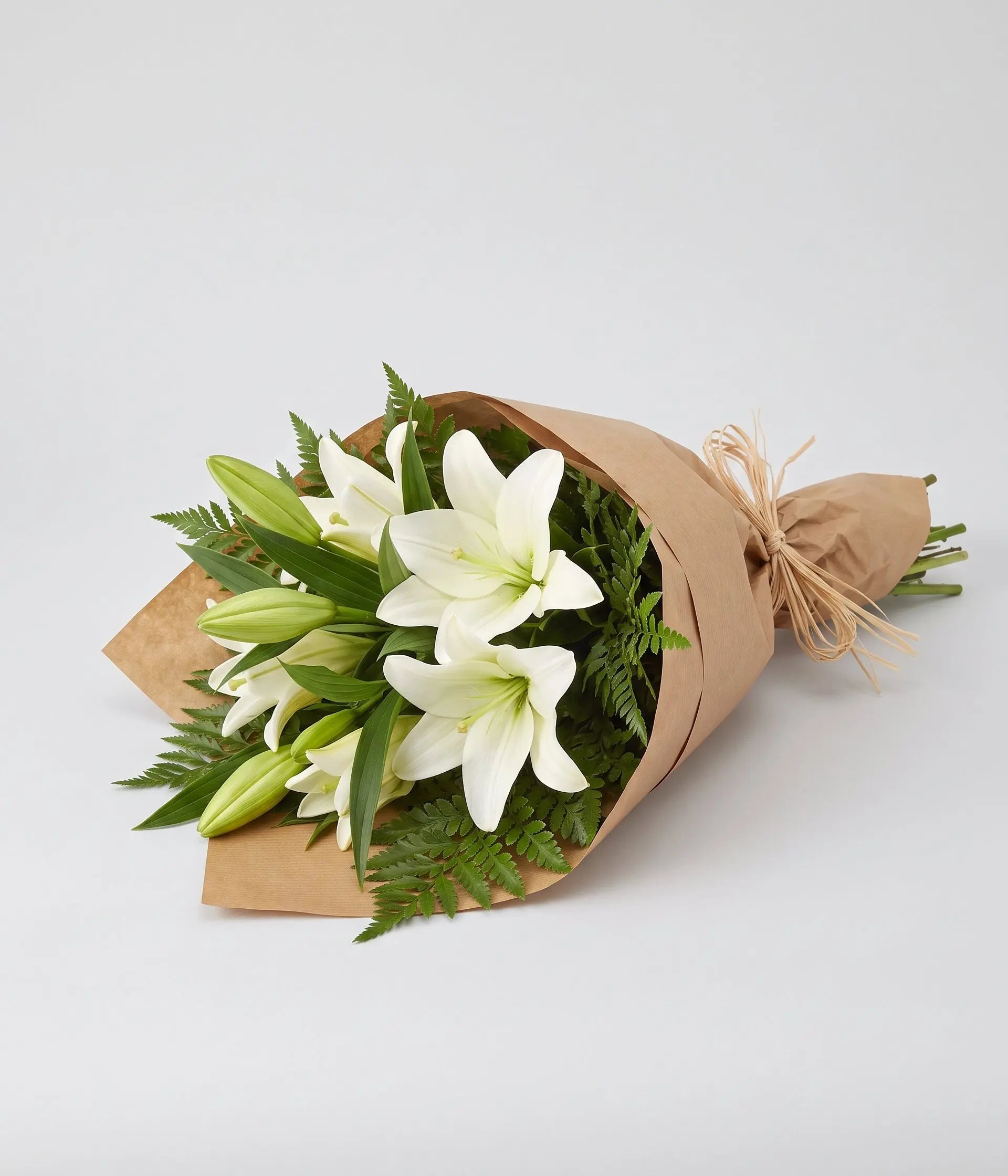 Bunch of White Lilies Send Blooms