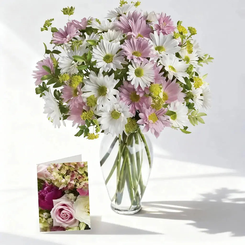 Chrysanthemum Love Collection Send Blooms
