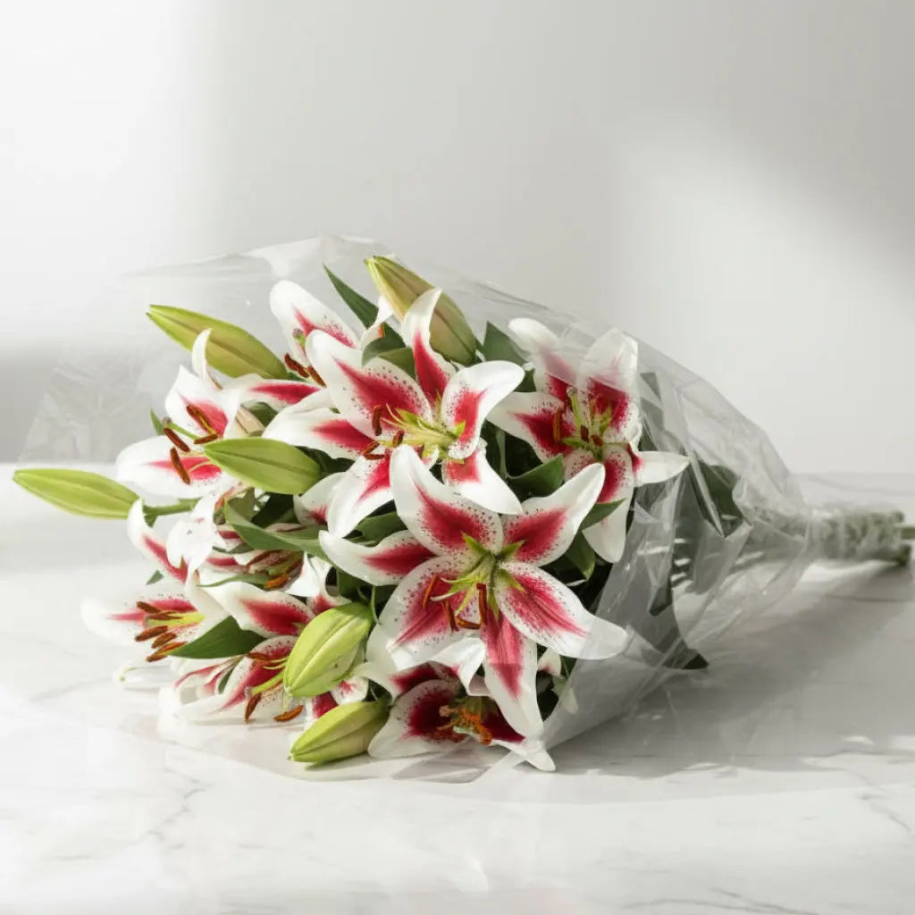 Elegant Floral Arrangement Send Blooms