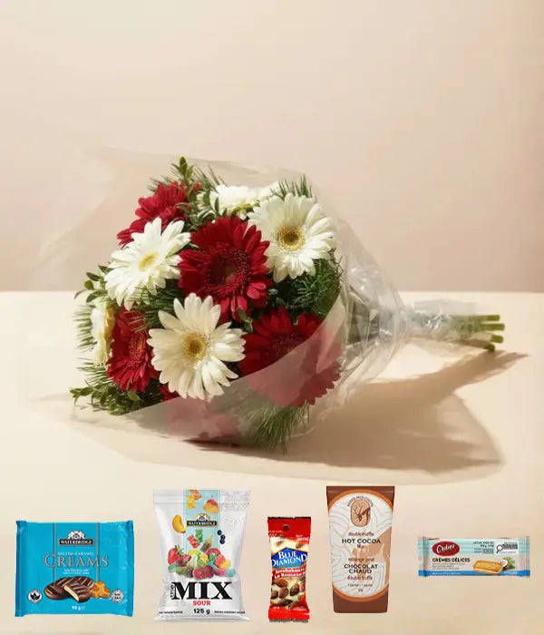 Festive Christmas Star Arrangement & Gourmet Gifts Send Blooms