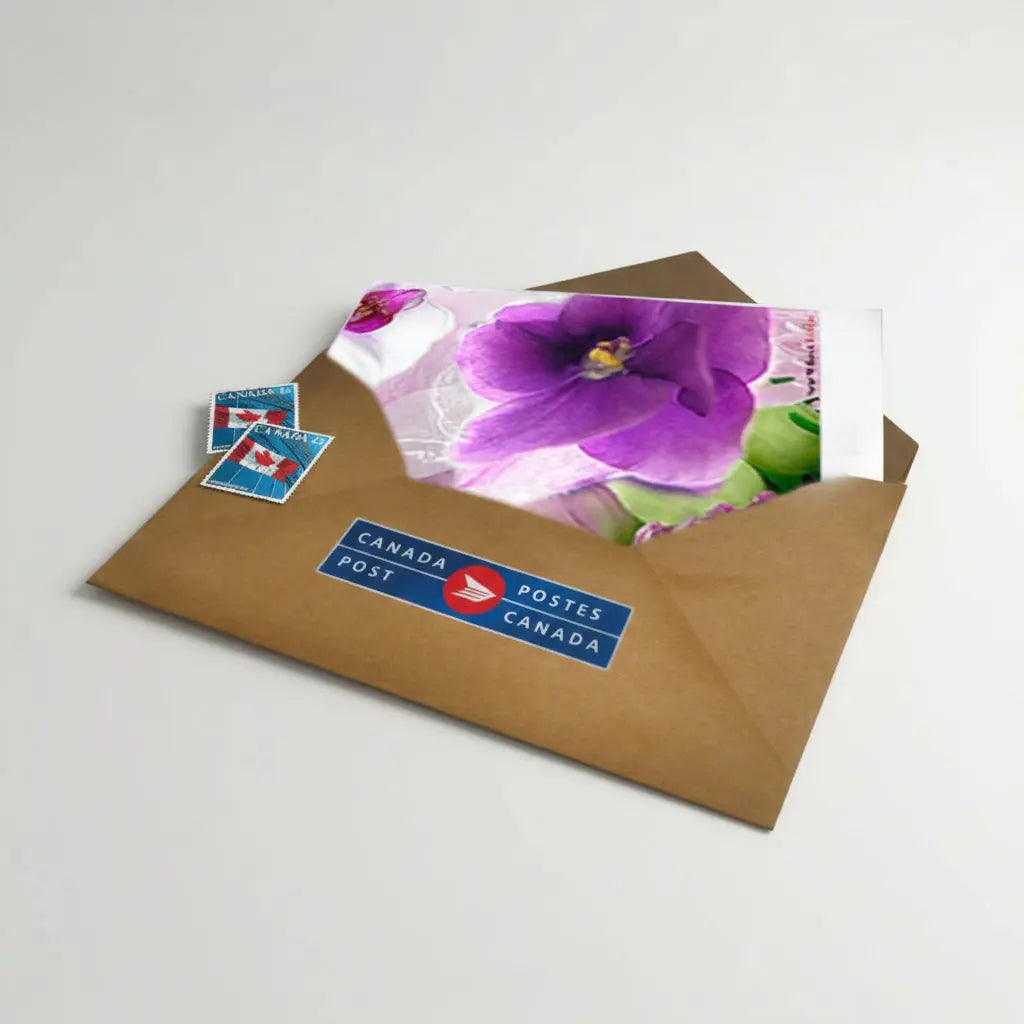 Full Size Greeting Card with Postage Included Send Blooms