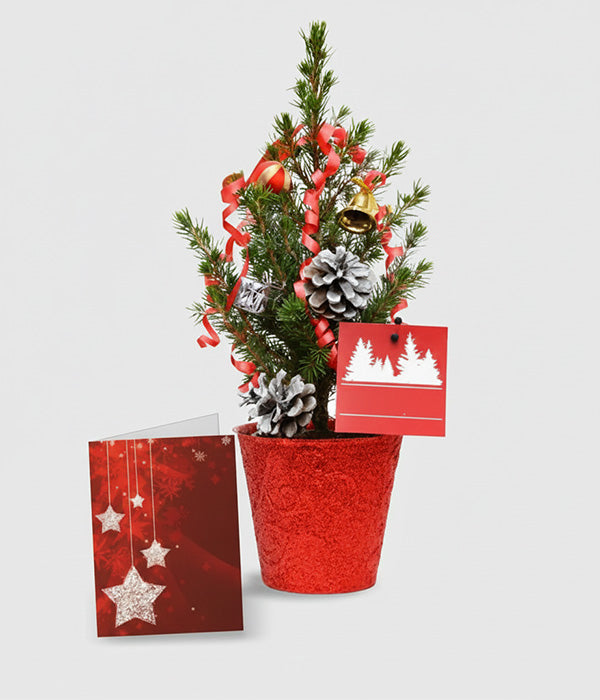 Mini Christmas Tree Gift I