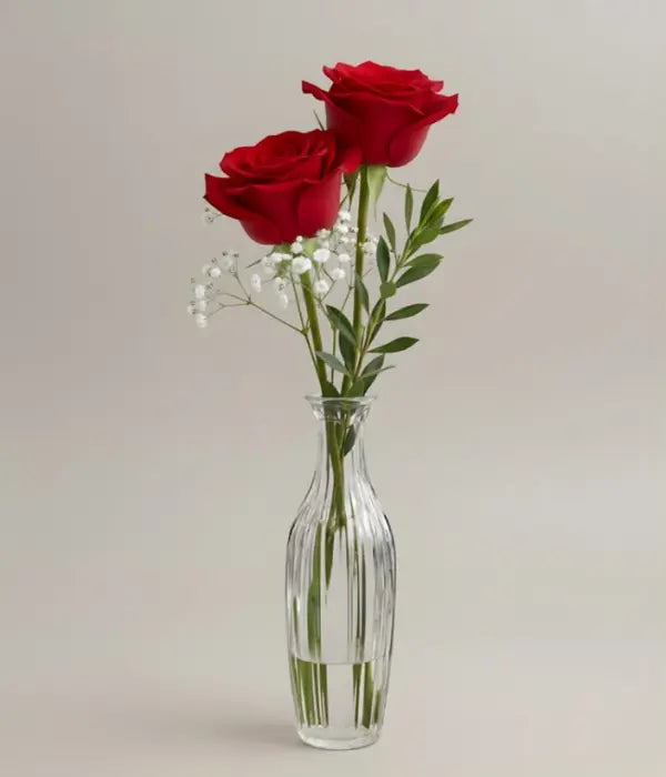 Elegant Red Rose in a Bud Vase Send Blooms