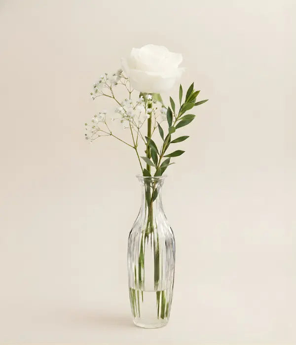 Pure White Rose in a Bud Vase Send Blooms
