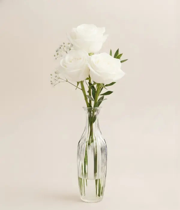 Pure White Rose in a Bud Vase Send Blooms