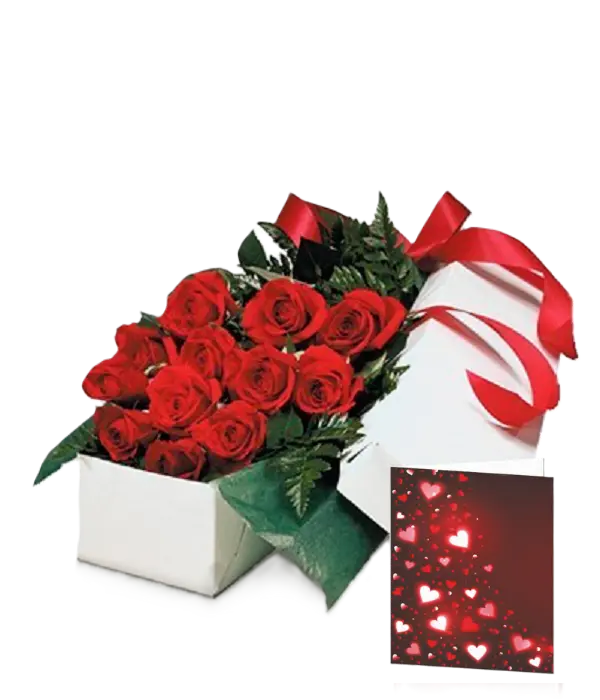 Premium Gift Box Packaging Send Blooms