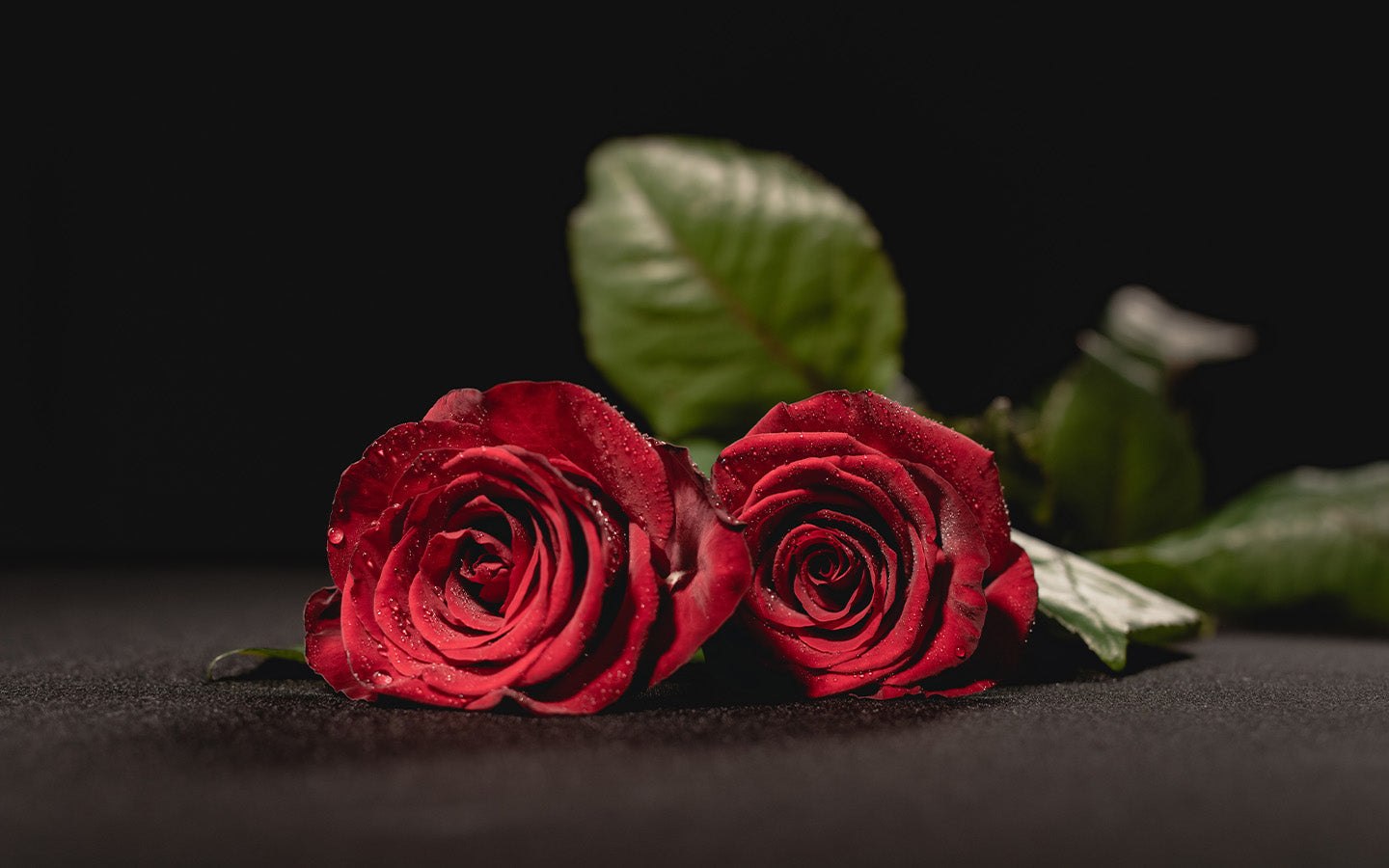 Gift Box Roses for Valentine's Day: How to Choose for Every Occasion Send Blooms