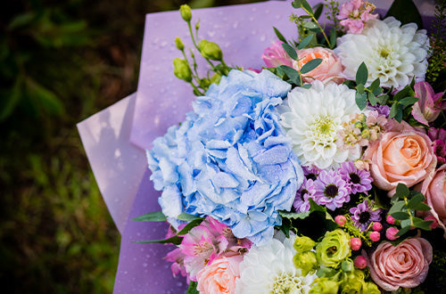 Get-Well-Soon-Flowers-Gifts Send Blooms