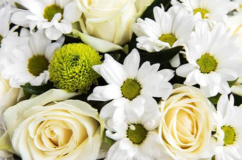 Sympathy-Flowers Send Blooms