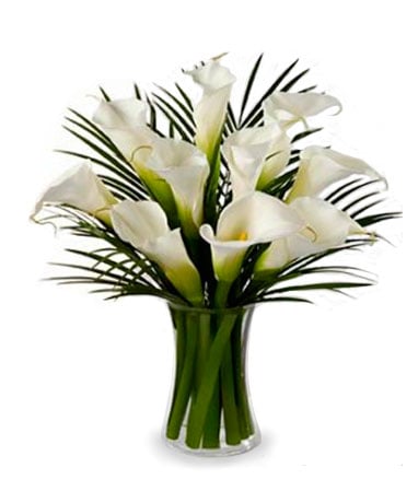 10 White Calla Lilies