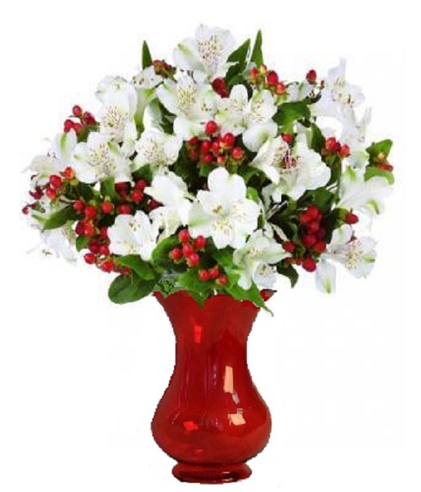 100 Blooms of Festive Alstroemeria Flowers