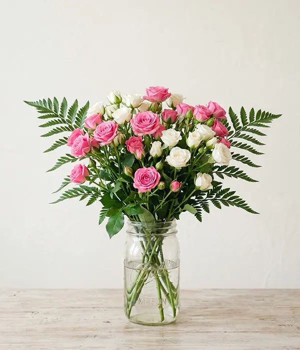 30 Blooms of White & Pink Spray Roses in a Mason Jar Send Blooms