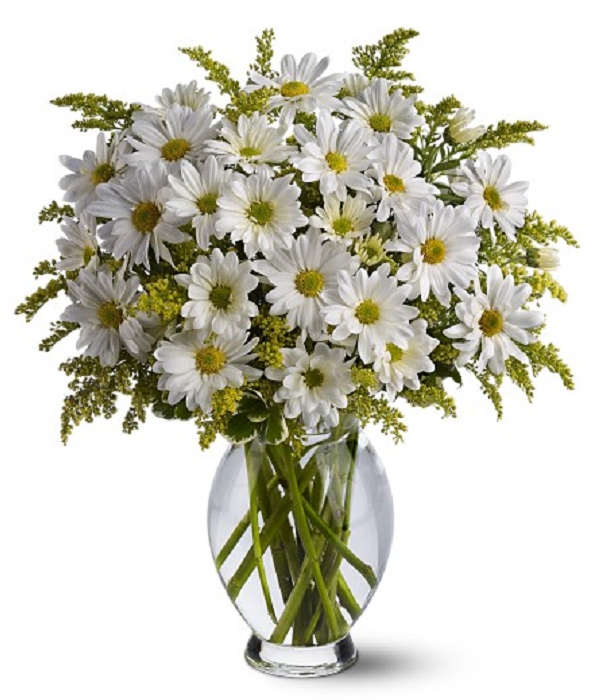 Classic White Daisy Bouquet