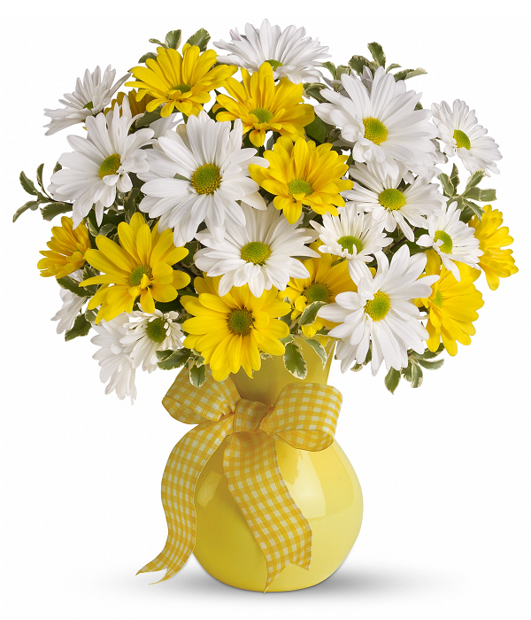 Happt Yellow and White Daisy Bouquet