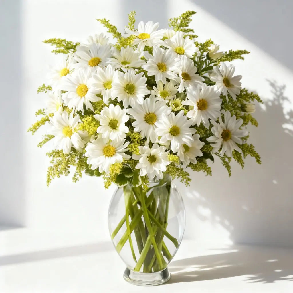 Classic White Daisy Bouquet Send Blooms