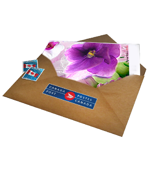 Full Size Greeting Card with Postage Included
