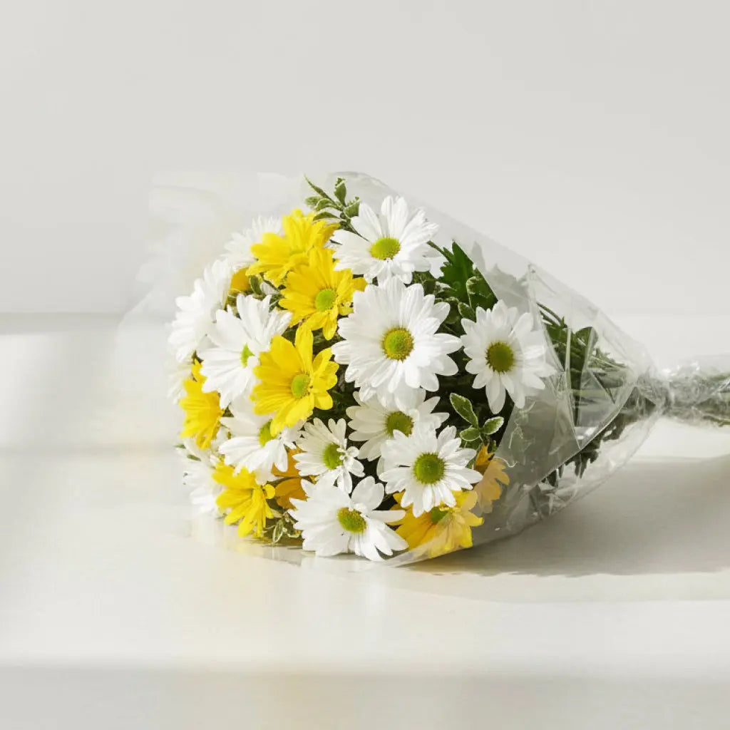 Happt Yellow and White Daisy Bouquet Send Blooms