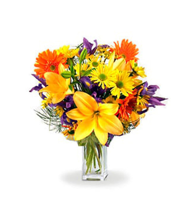 Bright & Bold Swirl Bouquet