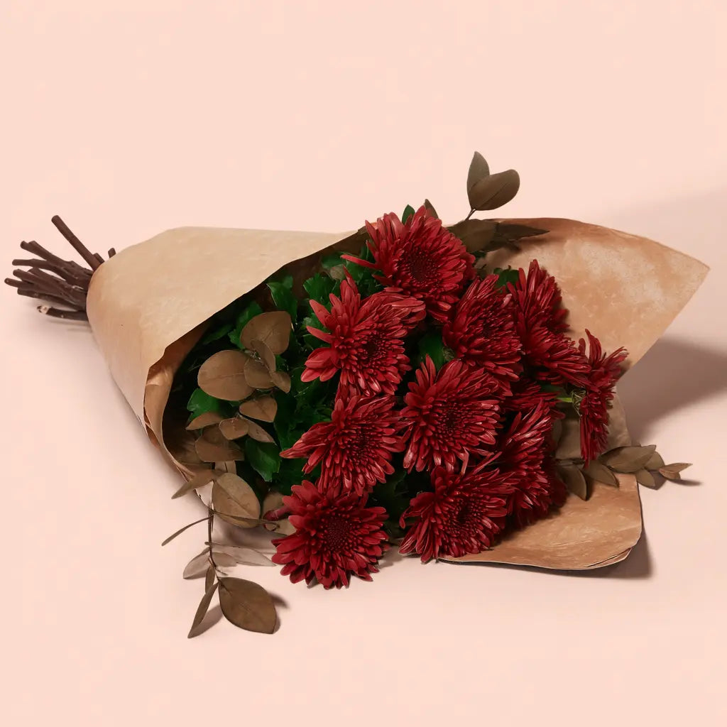 Festive Christmas Embrace: Holiday Decor & Gift Collection Send Blooms