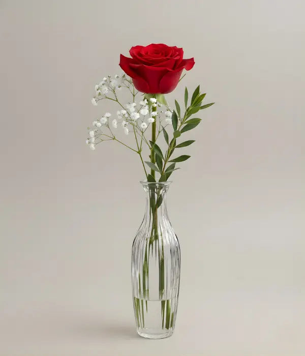Elegant Red Rose in a Bud Vase Send Blooms