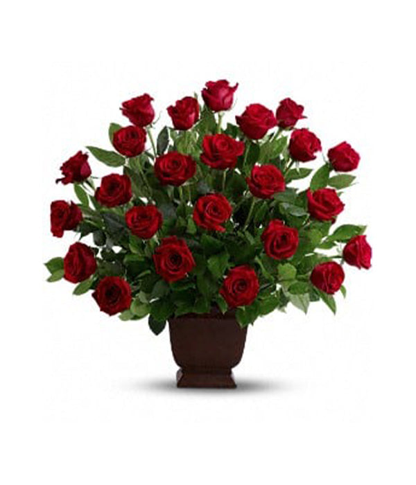 Tribute of Red Roses