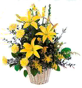 Yellow Planter Basket Arrangement