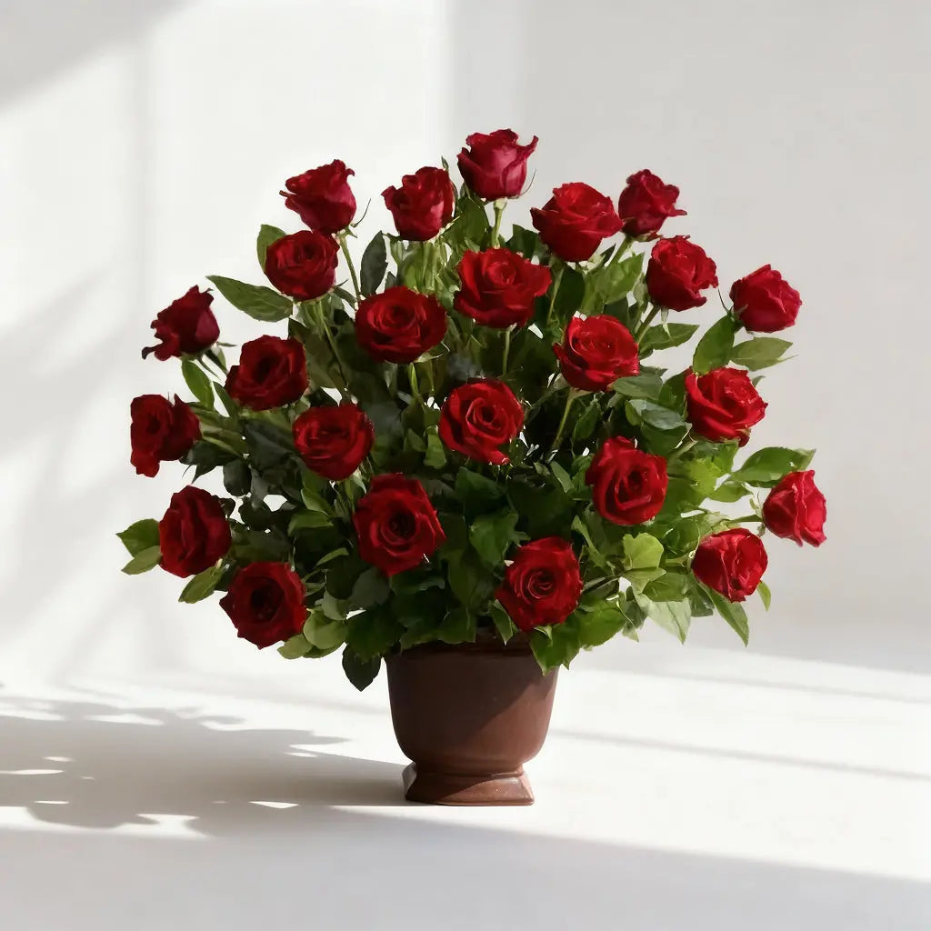 Tribute of Red Roses Send Blooms