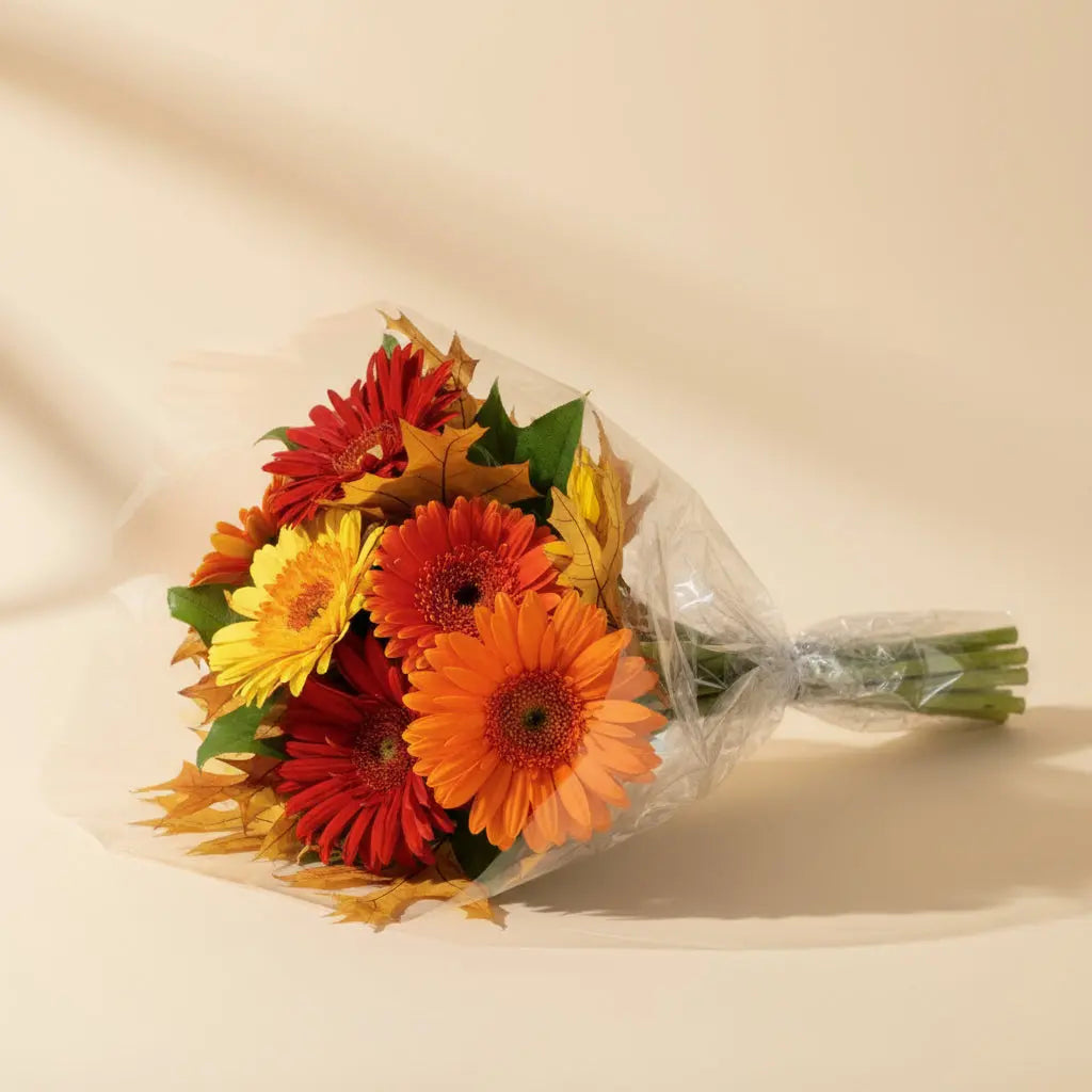 Vibrant Autumn Gerbera Daisies Bouquet Send Blooms