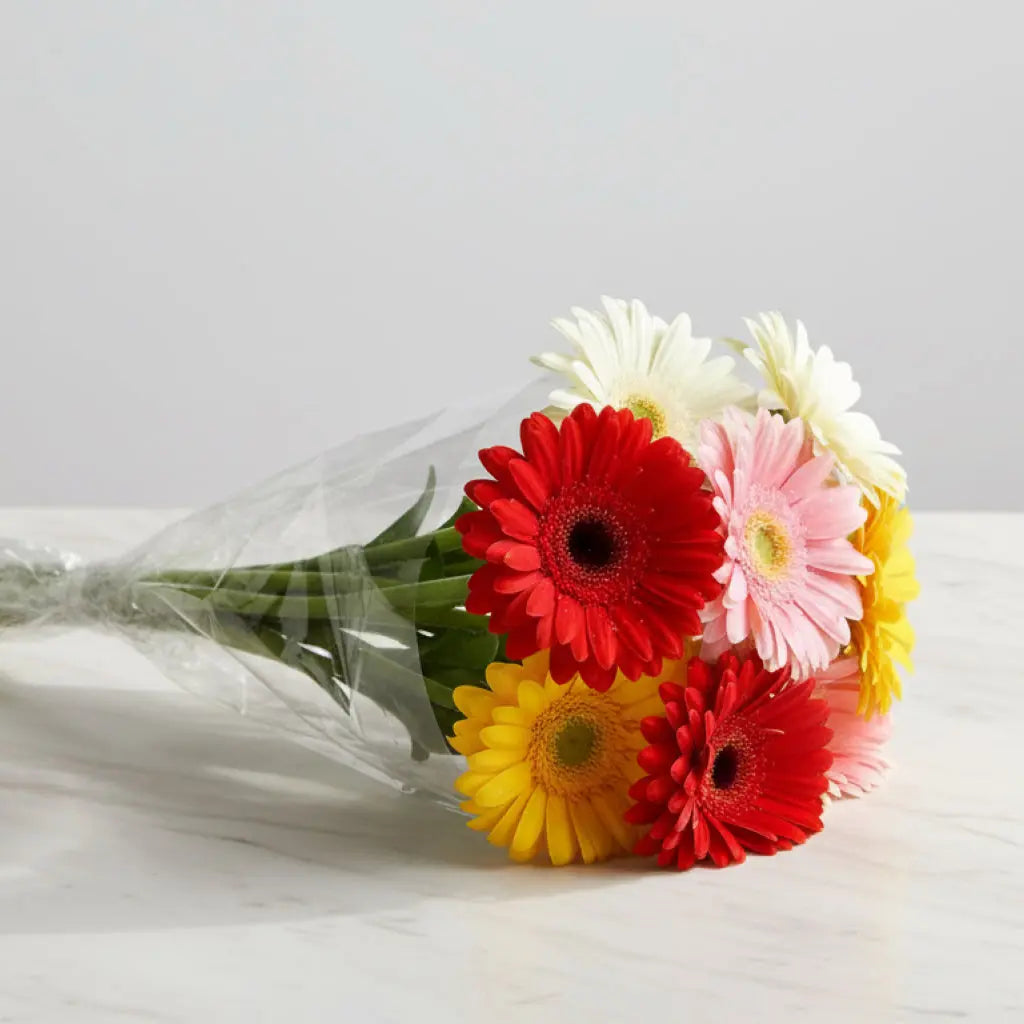 Vibrant Gerbera Daisy Bouquet for Stunning Floral Arrangements Send Blooms