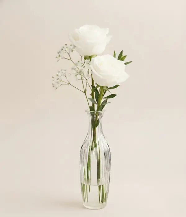 Pure White Rose in a Bud Vase Send Blooms