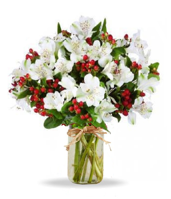 Festive 100 Bloom Alstroemeria Bouquet in Mason Jar - Perfect Holiday Gift