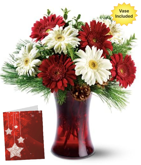 Festive Christmas Star Flower Arrangement