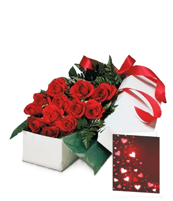 Premium Gift Box Packaging