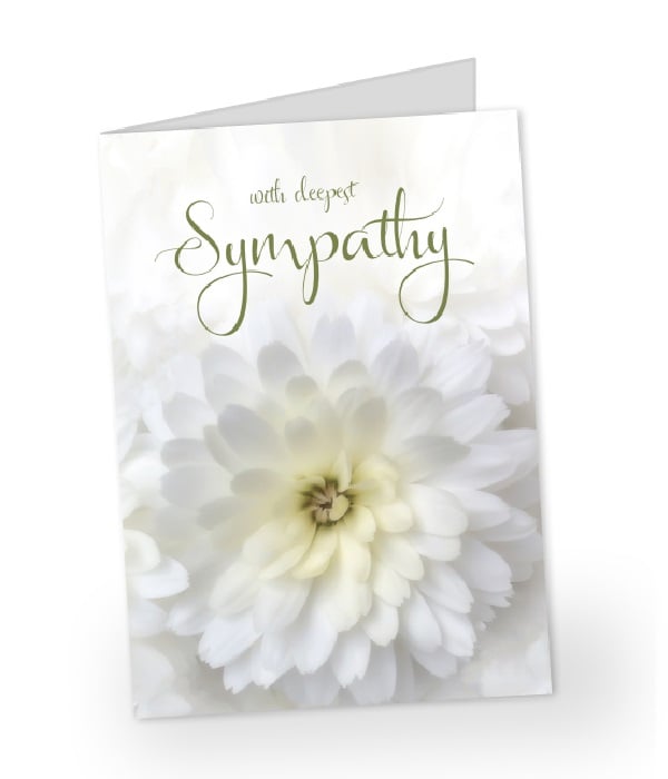 Large Sympathy Greeting Card - Express Condolences with Heartfelt Message
