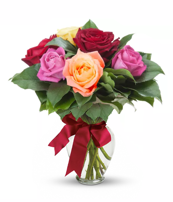 Half Dozen Roses with Mixed Colours