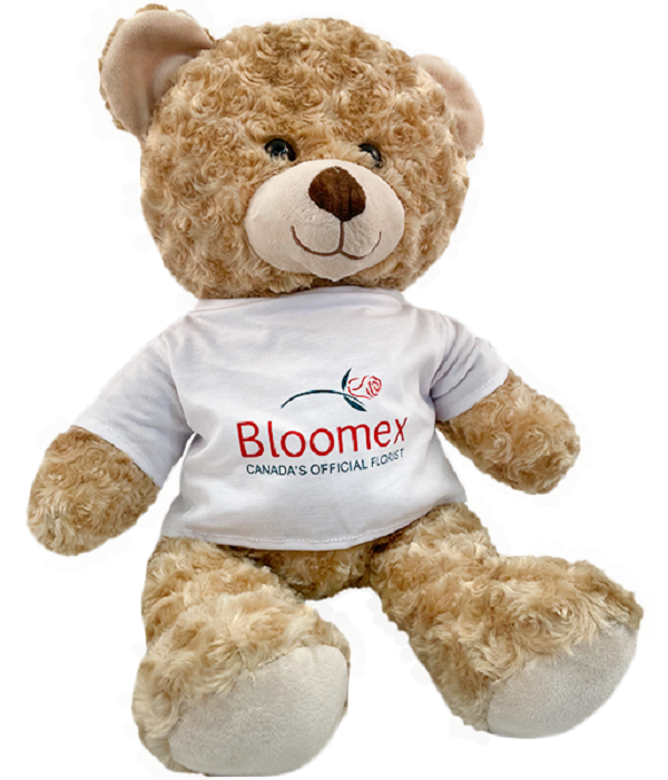 Giant Plush Teddy Bear for Kids and Adults