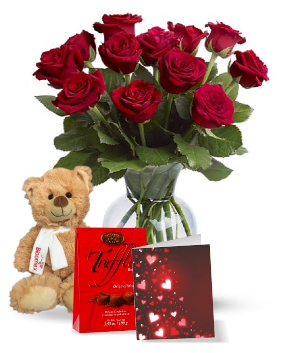 Premium Long Stem Red Roses Bouquet - One Dozen with Gift Combo