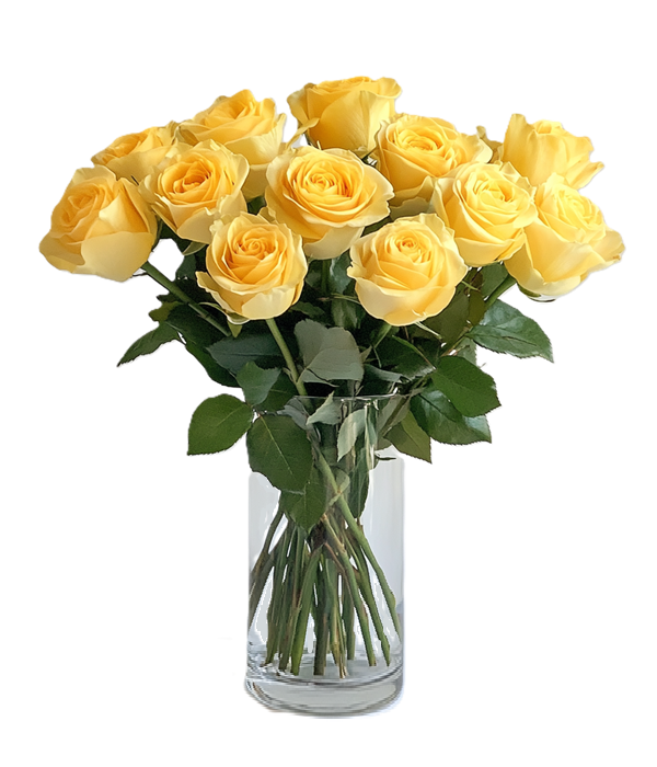Premium Long Stem Yellow Roses Bouquet - One Dozen