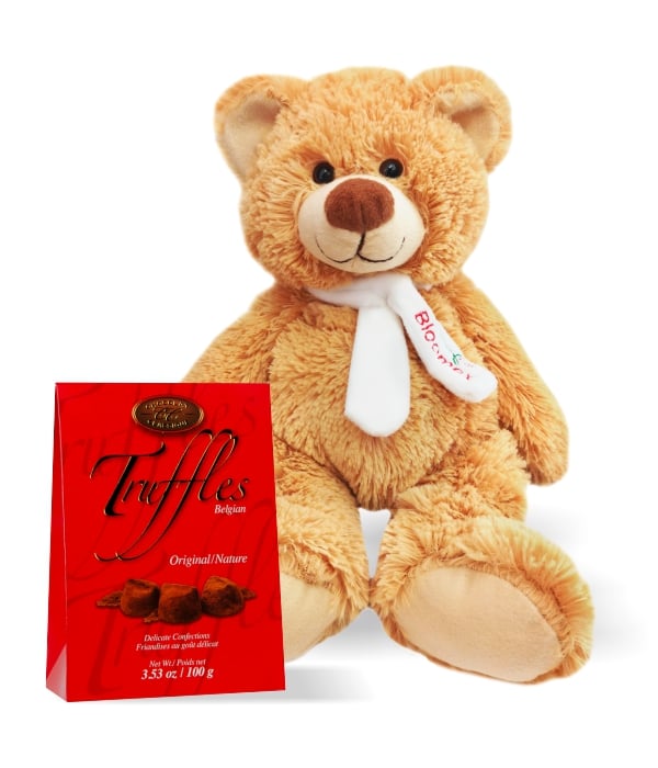 Teddy & Truffles: Premium Gourmet Chocolate Gift Box